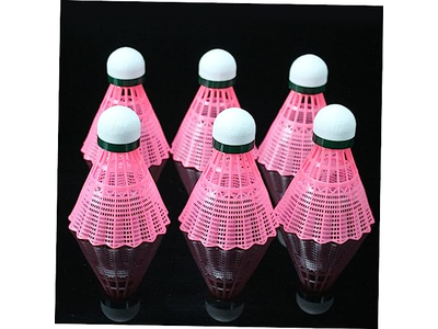 6pcs Shuttlecocks for School Badminton 