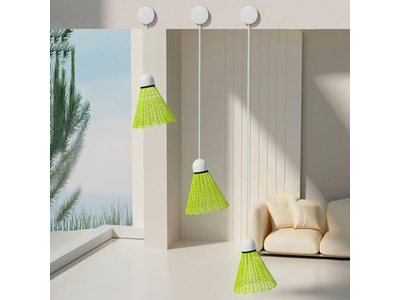 Professional Badminton Trainer Self Study