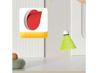 Professional Badminton Trainer Self Study